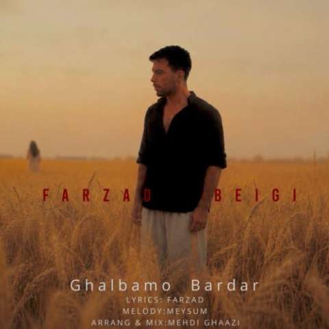دانلود آهنگ فرزاد قلبم بردار