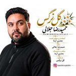 دانلود آهنگ حمیدرضا جلالی گل نرگس دانلود آهنگ حمیدرضا جلالی گل نرگس